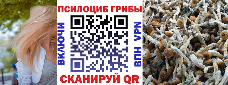 как найти наркотики  Пущино  Галлюциногенные грибы GOLDEN TEACHER 