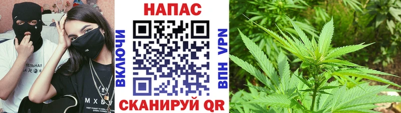 Каннабис VHQ Пущино